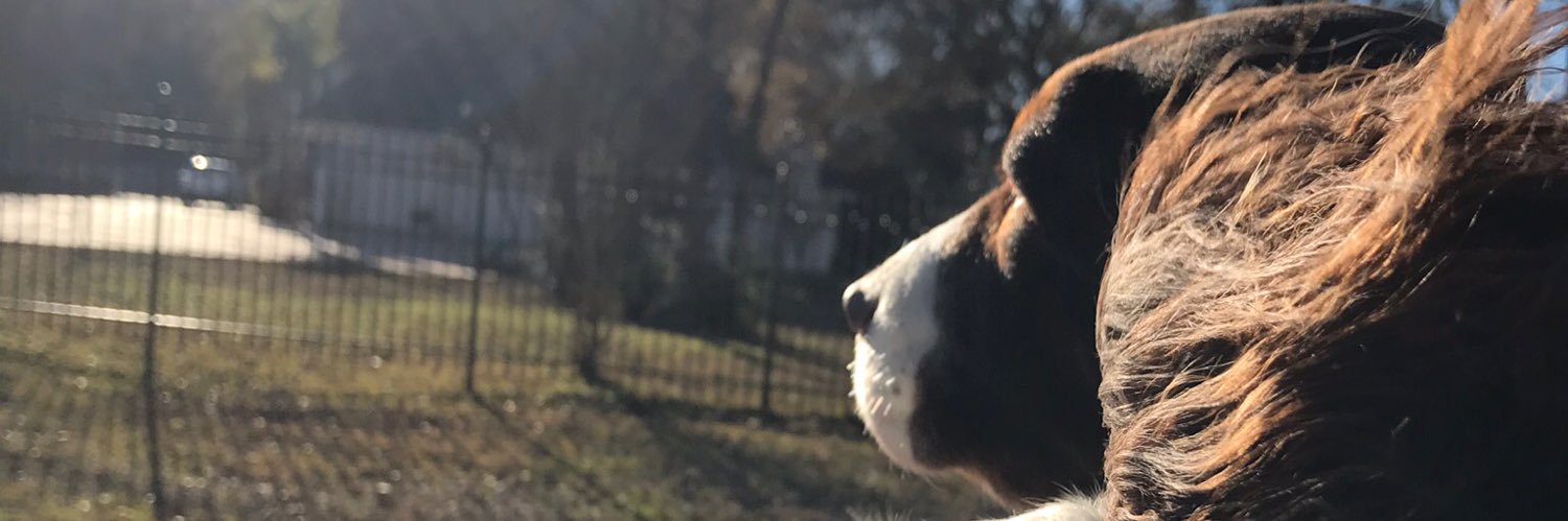 AnnaWier8's profile banner image