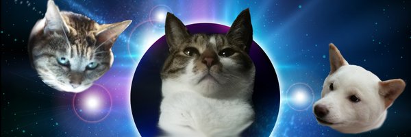 KonakaDaizu Profile Banner