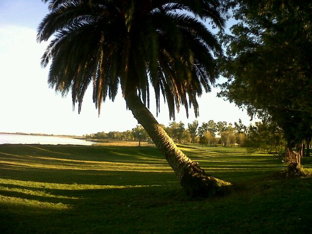 Un poco de Paz ♥Dany banner