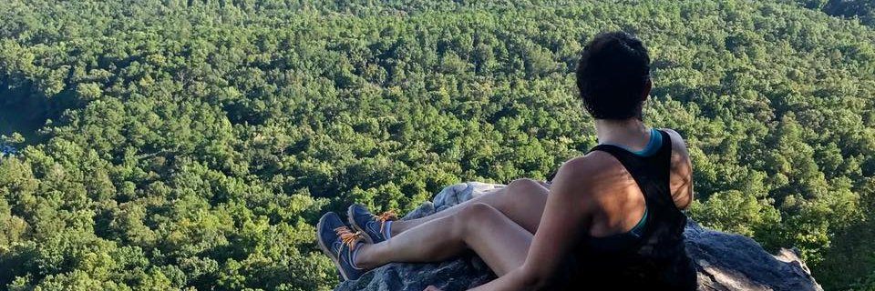 vanessainbham's profile banner image