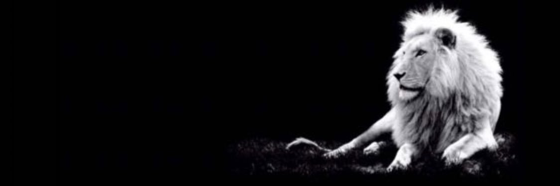 ع banner