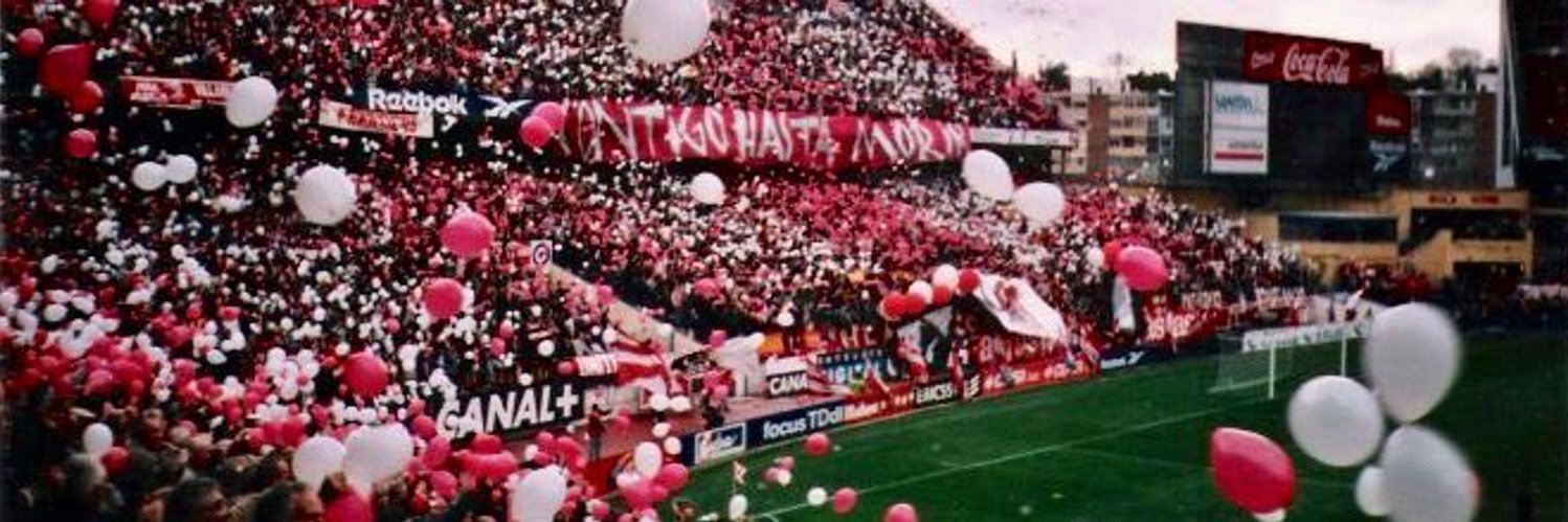 alicontreraass's profile banner image