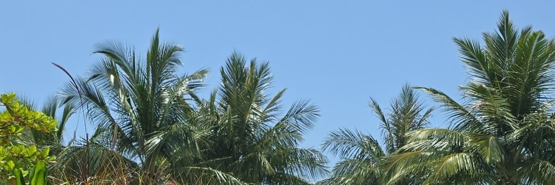 Ahmefashraf's profile banner image