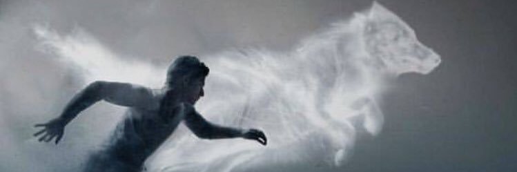 Fefee25's profile banner image