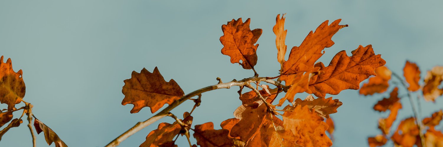 samjo511's profile banner image