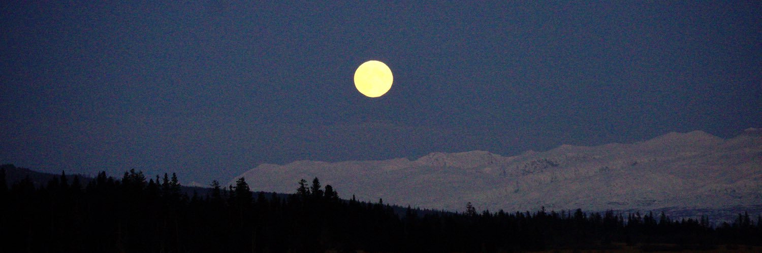 Michael Armstrong banner