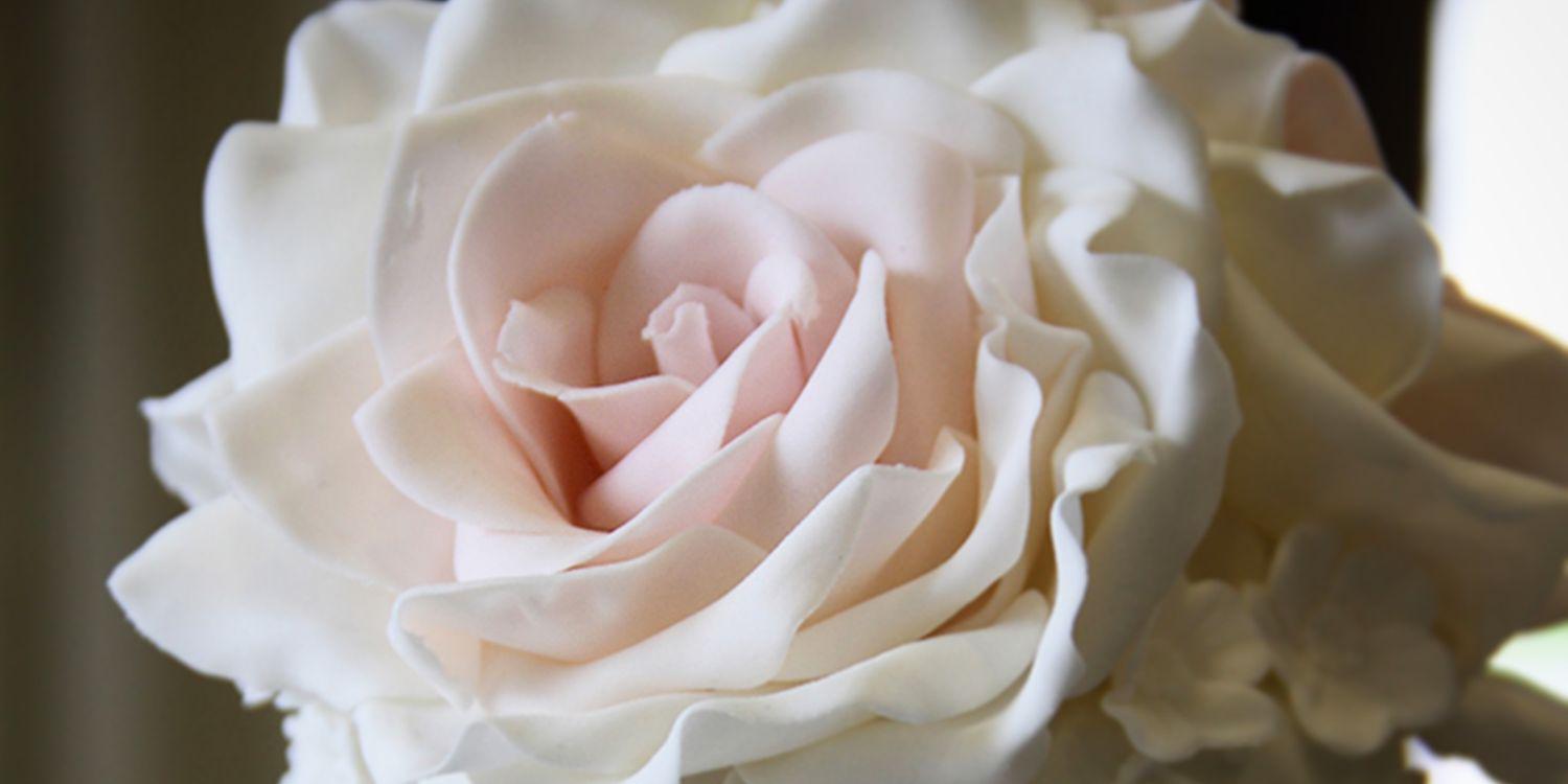 PinkCakeBoxUK's profile banner image