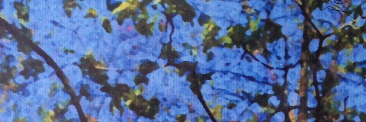 AmandSimone's profile banner image