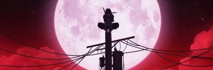 maroonronin's profile banner image
