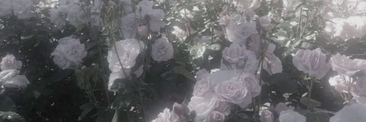 ♩ banner