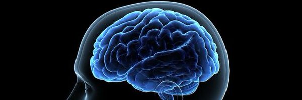 C_C_Tokyo Profile Banner