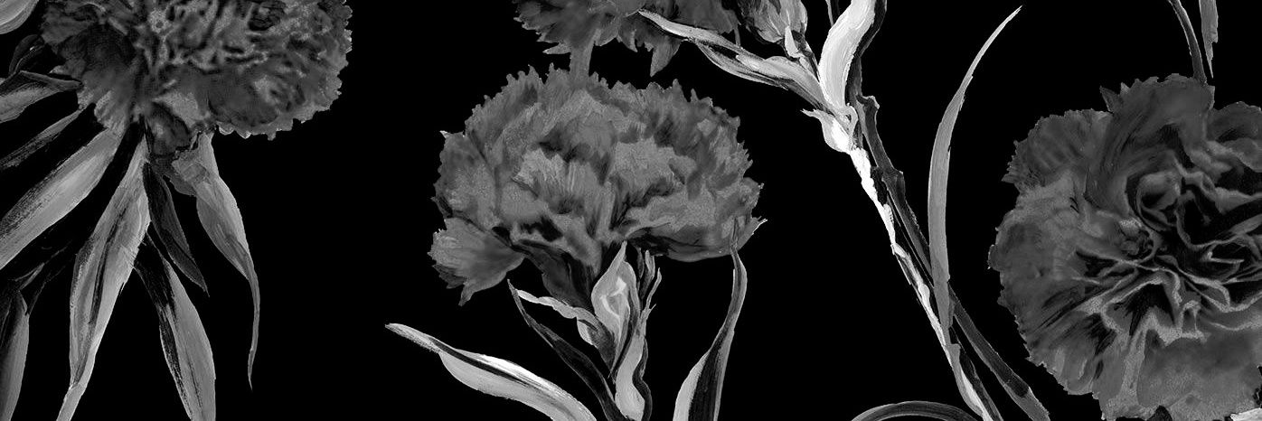 Fredogamo's profile banner image