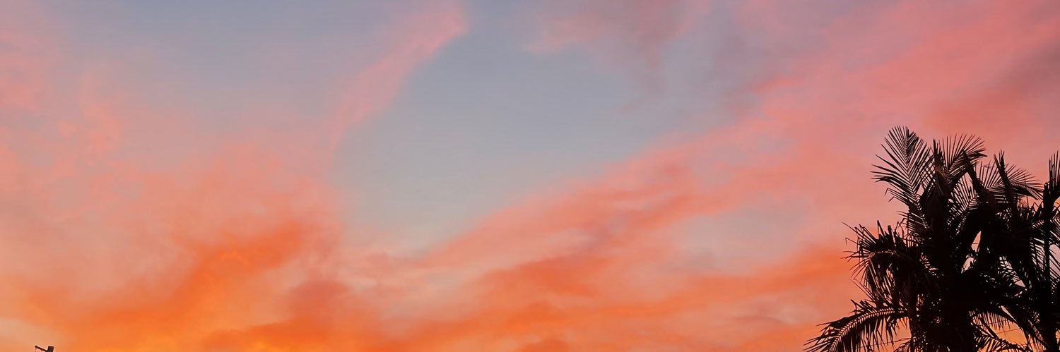 monisronylyn's profile banner image
