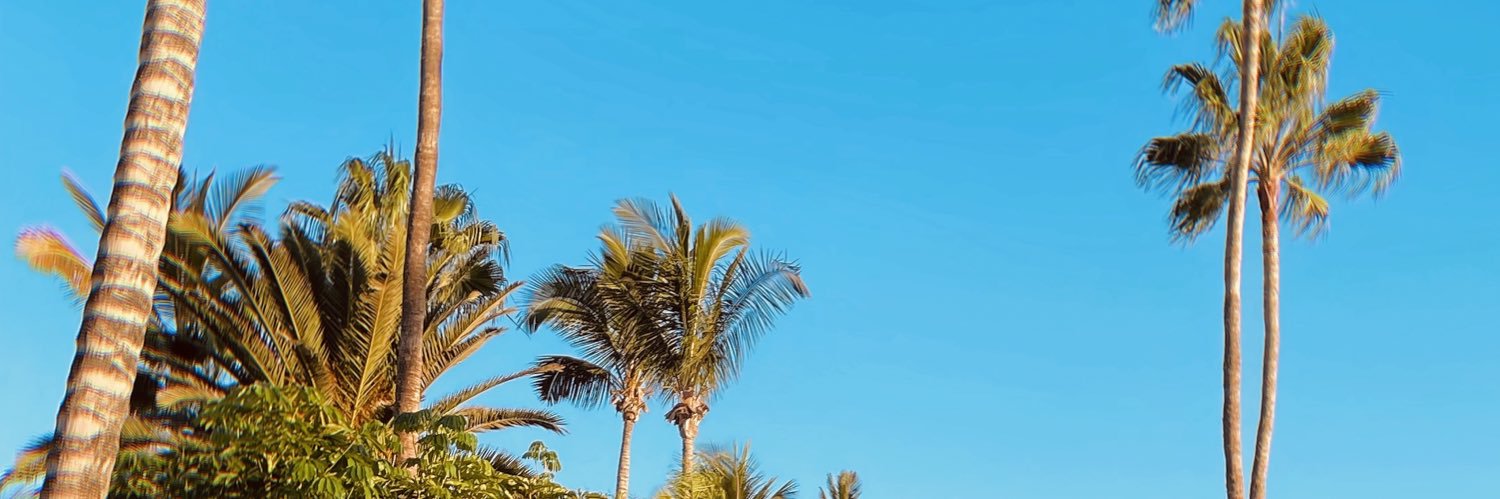 Lobritcos88's profile banner image