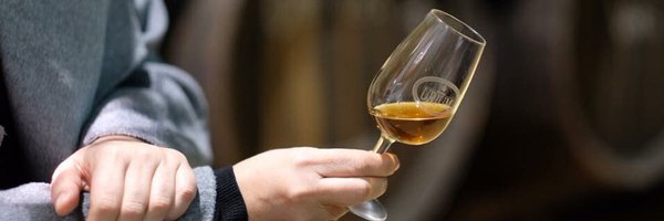 RocioUrium Profile Banner