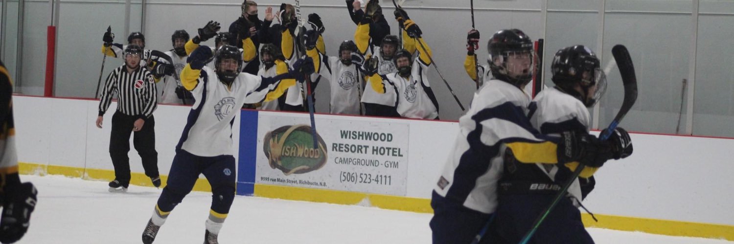 lc_lions's profile banner image