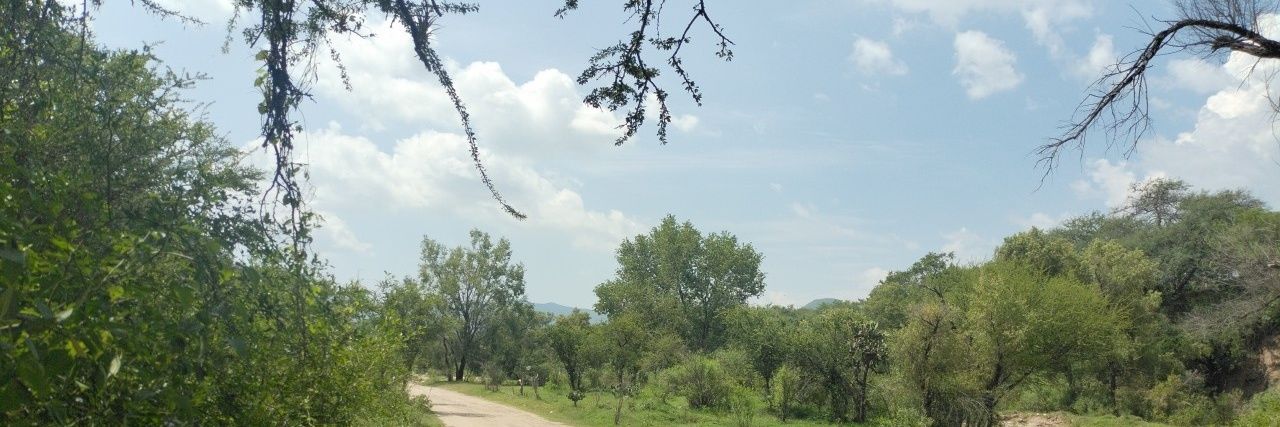 LicJors's profile banner image