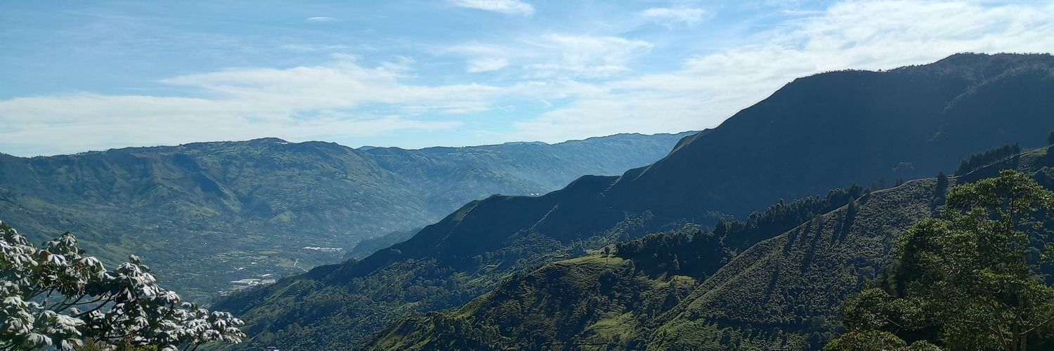 alavida_lavida's profile banner image