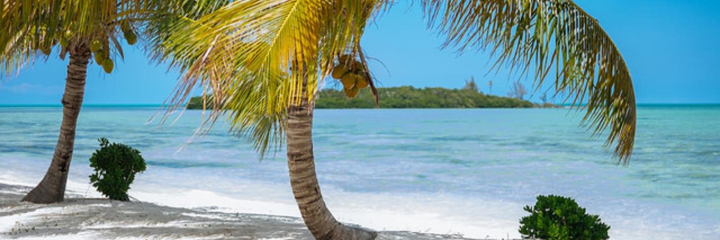 SwainsCayLodge's profile banner image