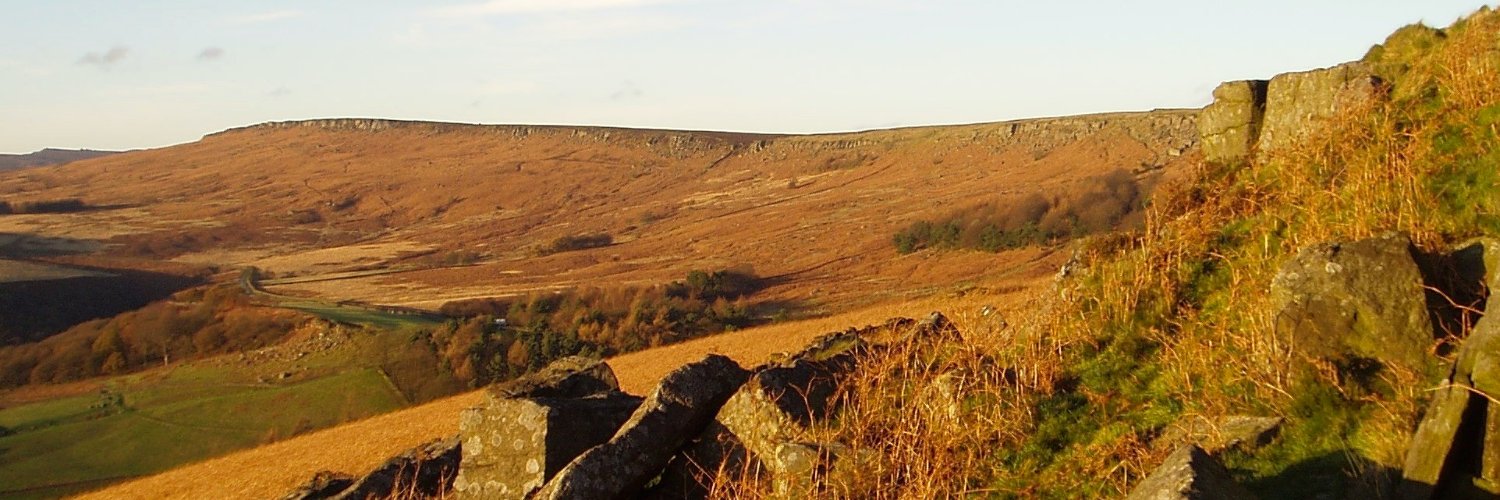 JacqusieOT's profile banner image
