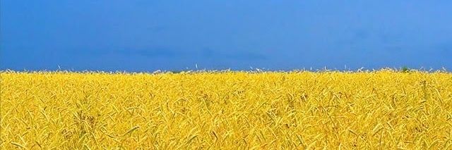 adolfocamara's profile banner image
