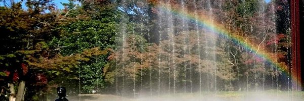 a9494z Profile Banner