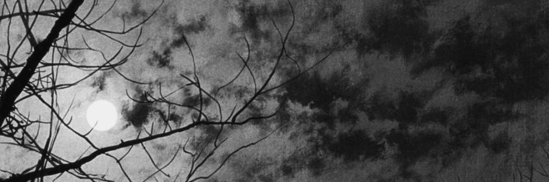 ClaraEBrito2's profile banner image
