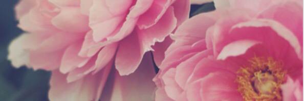 sboehmig's profile banner image