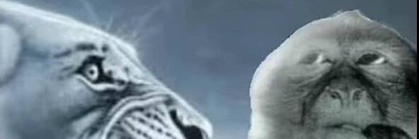 Real__Tyrion Profile Banner
