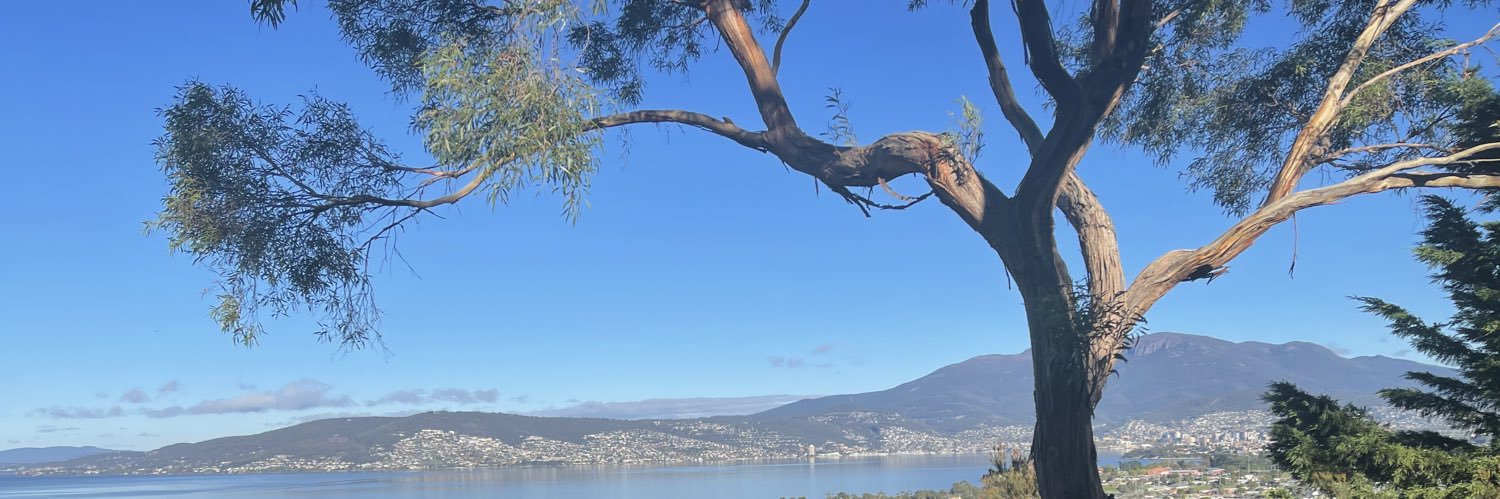 Ingrid Harrison banner