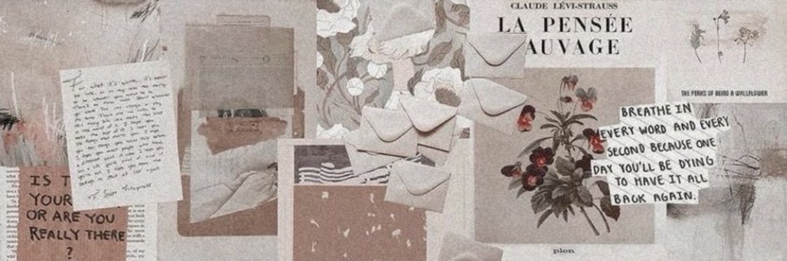 aooxie's profile banner image
