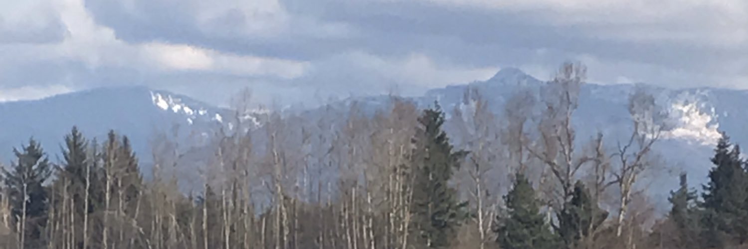 birkas613's profile banner image