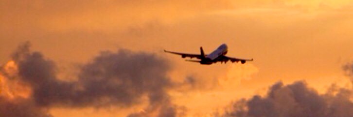 FlyingTheFlag banner