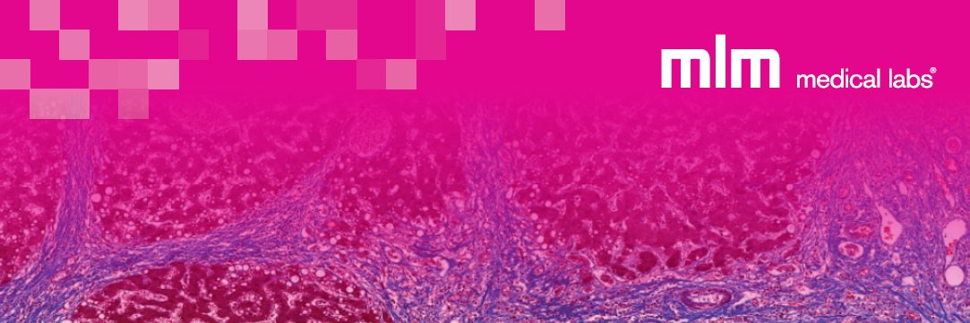 MLM Medical Labs banner