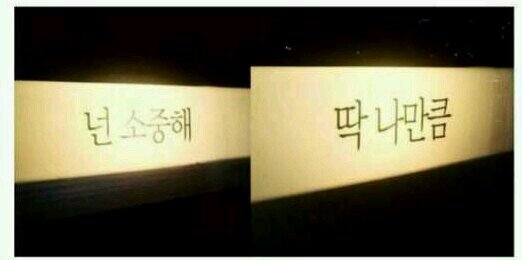 노루는 살아있습니다♡.♡ banner