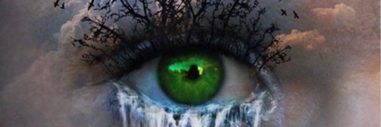 dichotomyoflife's profile banner image