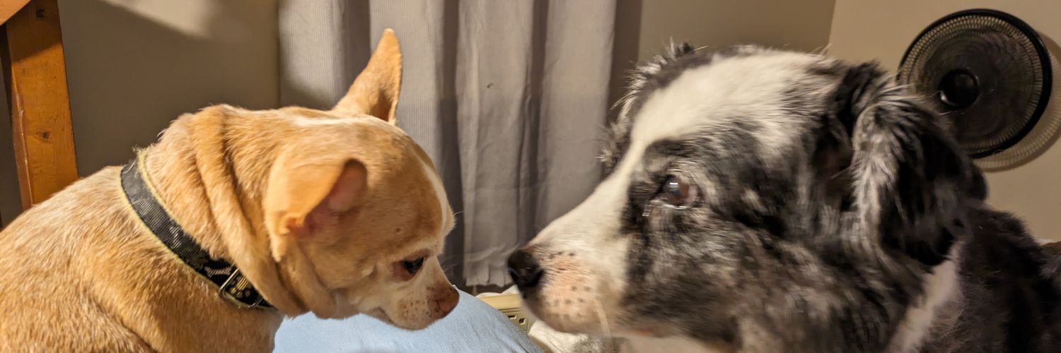 PooreRhonda's profile banner image