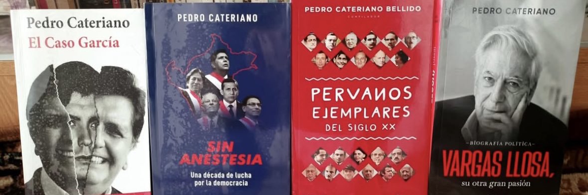 PCaterianoB's profile banner image