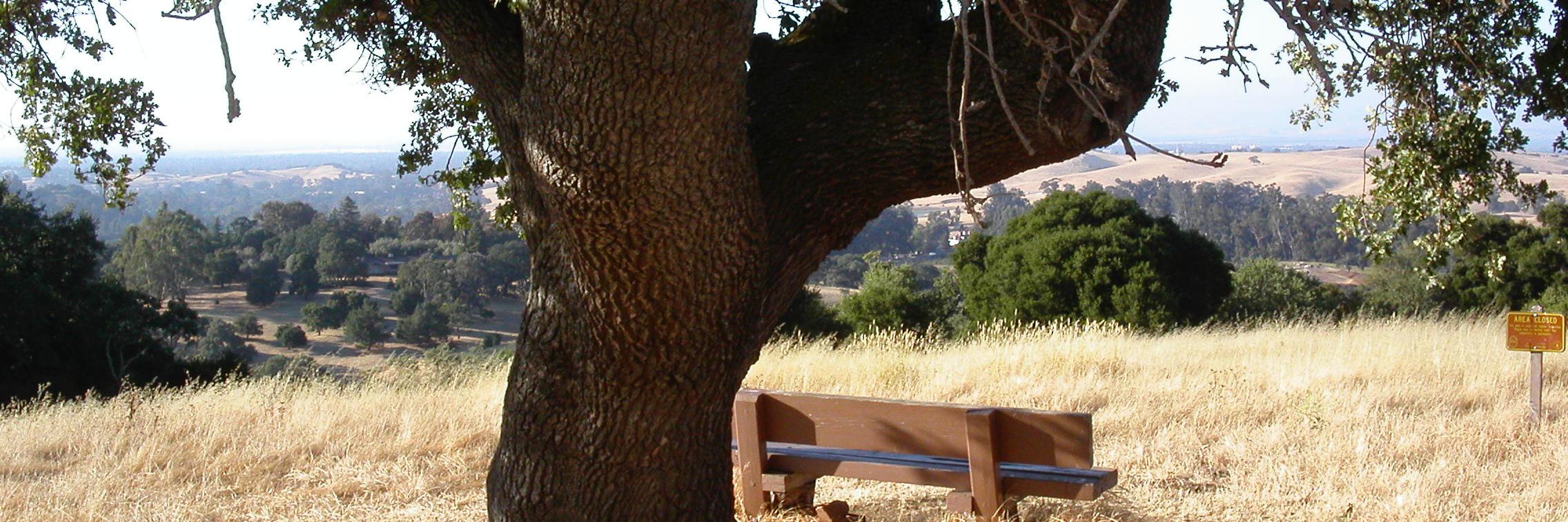 bridgetgleason's profile banner image