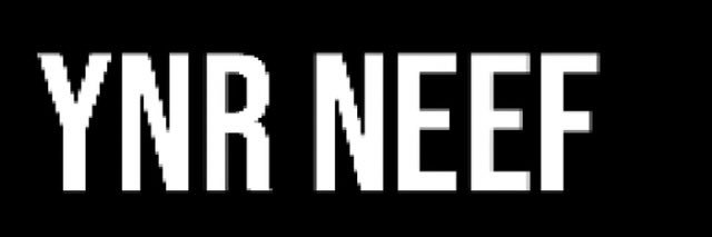 ynrneef's profile banner image