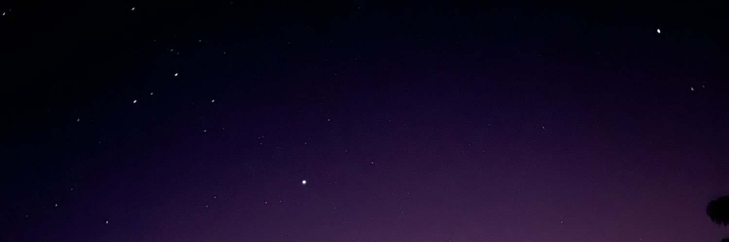 lauraalopes__'s profile banner image