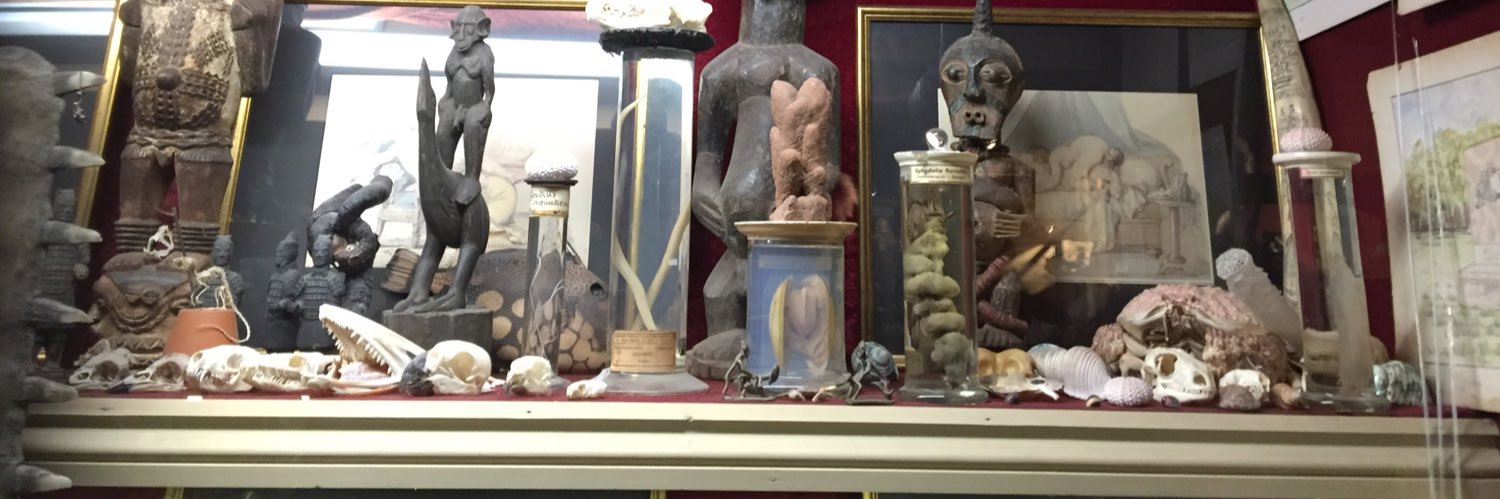 Natasha Cottriall banner