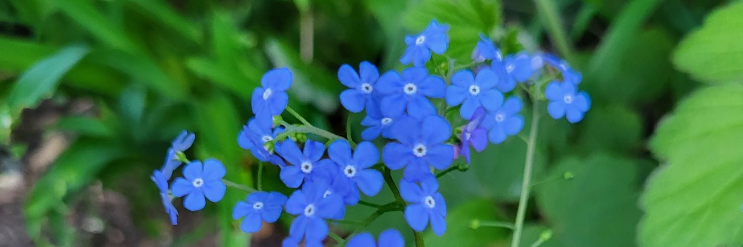 Telize92300's profile banner image