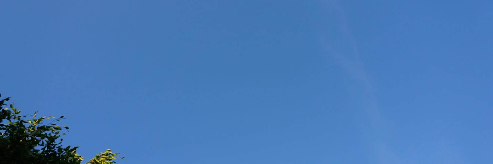 FriendToTheBees's profile banner image