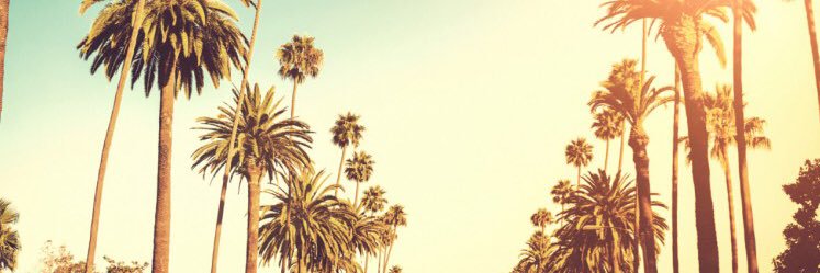 melissa. 🐝 banner