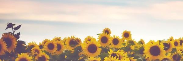 LauraAnnLong94's profile banner image