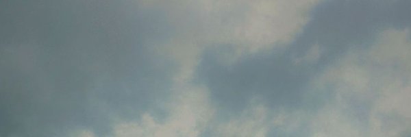 anjali404231 Profile Banner