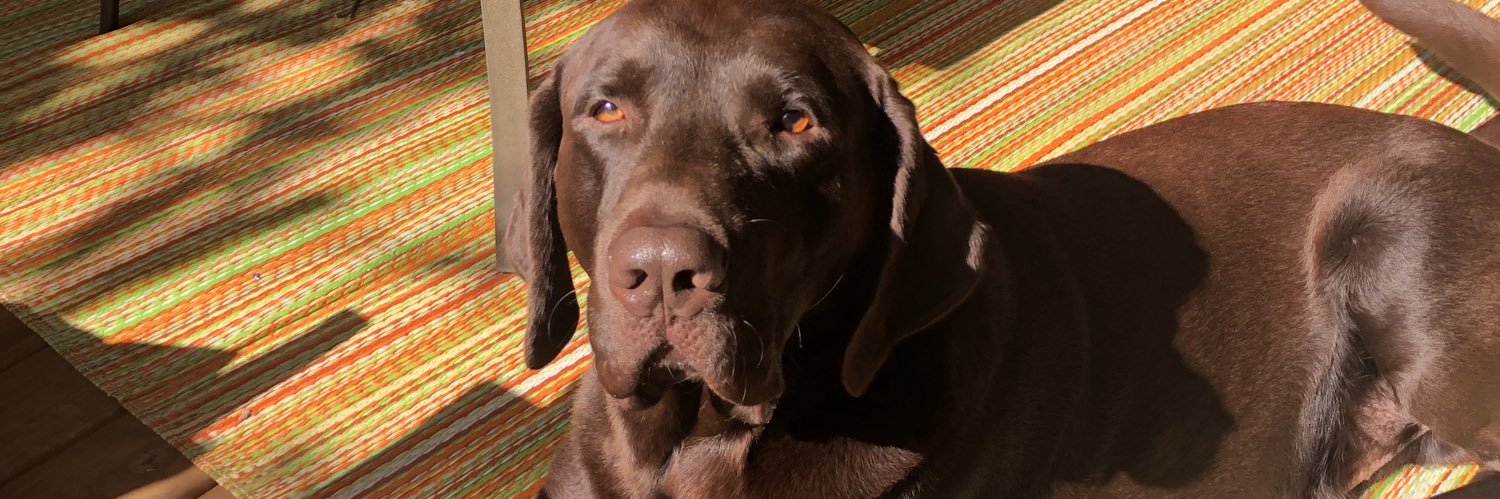 hupkacathy's profile banner image