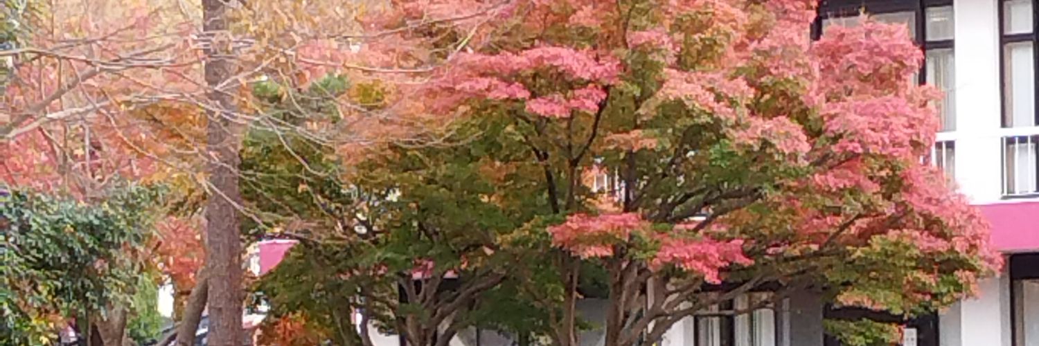 EngNjuguna's profile banner image