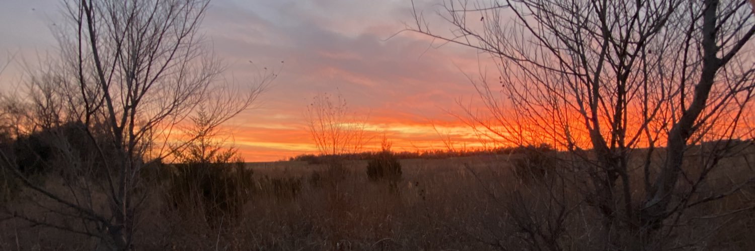 bradensixtyfive's profile banner image